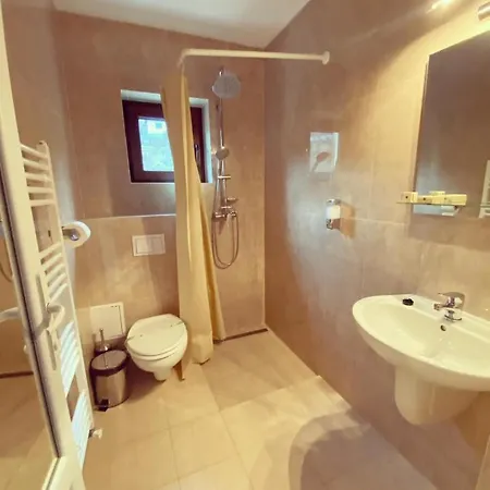 Maison Platanus 4* Voineasa